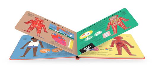 Il corpo umano. Ediz. a colori - Alice Hannah - 5