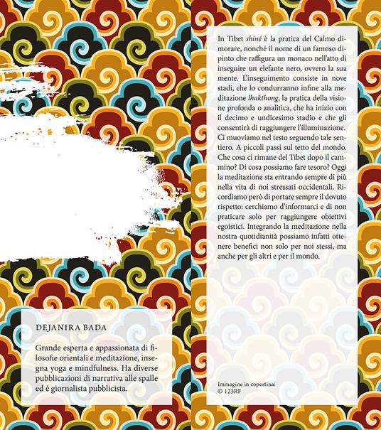 Il pensiero tibetano. Comprendere la via buddhista alla pace della mente - Dejanira Bada - 3