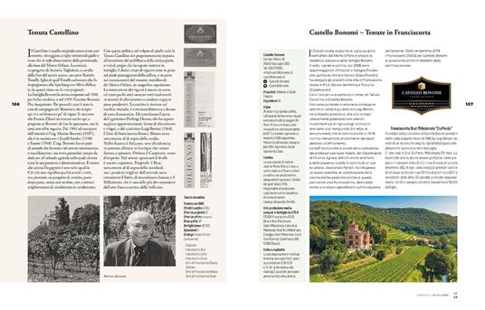 Franciacorta ieri, oggi, domani. Storie di vigne, cantine e uomini - Elio Ghisalberti - 4