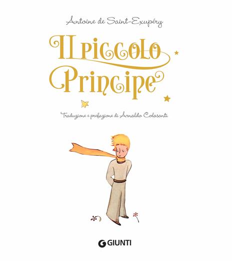 Il Piccolo Principe. Ediz. lusso - Antoine de Saint-Exupéry - 3