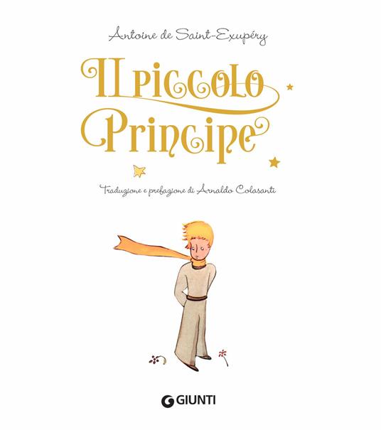 Il Piccolo Principe. Ediz. lusso - Antoine de Saint-Exupéry - 3