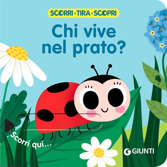 Chi vive nel prato? Scorri, tira e scopri. Ediz. a colori - copertina