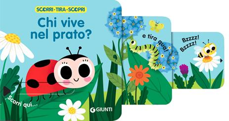 Chi vive nel prato? Scorri, tira e scopri. Ediz. a colori - 3