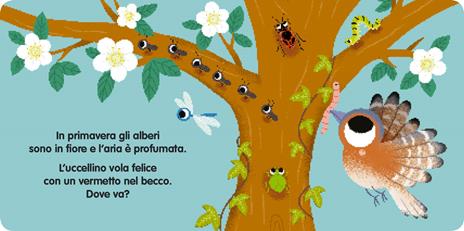 Chi vive nel prato? Scorri, tira e scopri. Ediz. a colori - 4