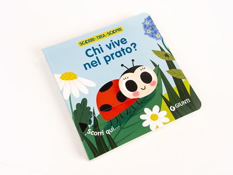 Chi vive nel prato? Scorri, tira e scopri. Ediz. a colori - 5