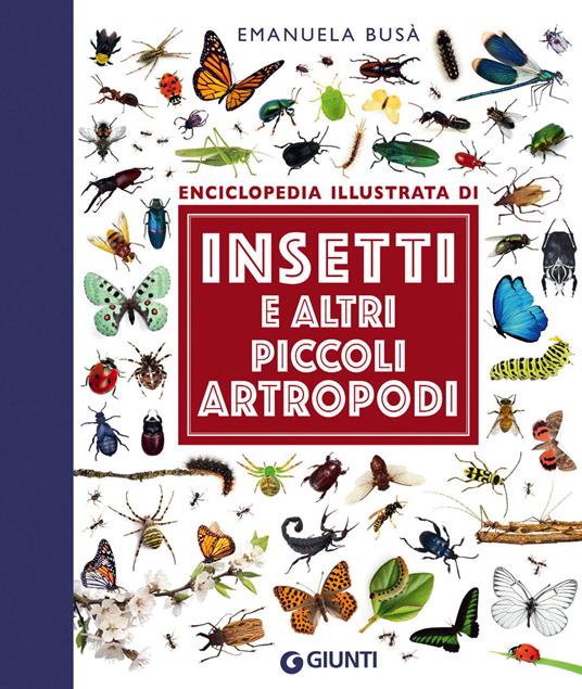Insetti e altri piccoli artropodi. Ediz. illustrata - Emanuela Busà - ebook