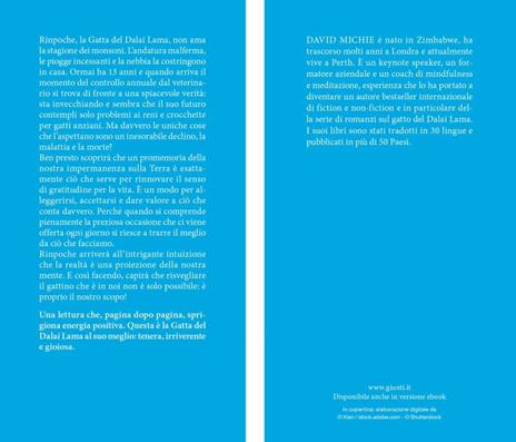 Il gatto del Dalai Lama e il risveglio del gattino interiore - David Michie - 2