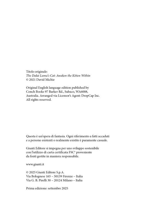Il gatto del Dalai Lama e il risveglio del gattino interiore - David Michie - 3