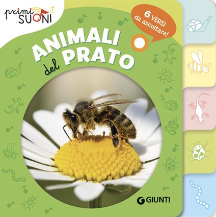 Animali del prato. Primi suoni. Ediz. a colori - Silvia D'Achille - copertina