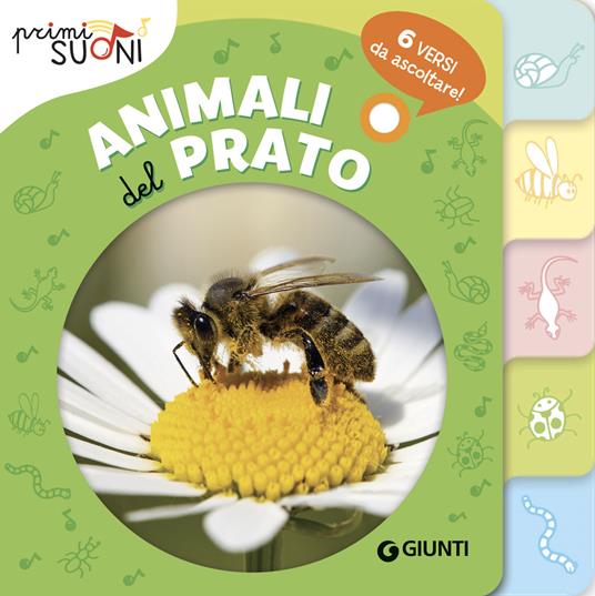 Animali del prato. Primi suoni. Ediz. a colori - Silvia D'Achille - copertina