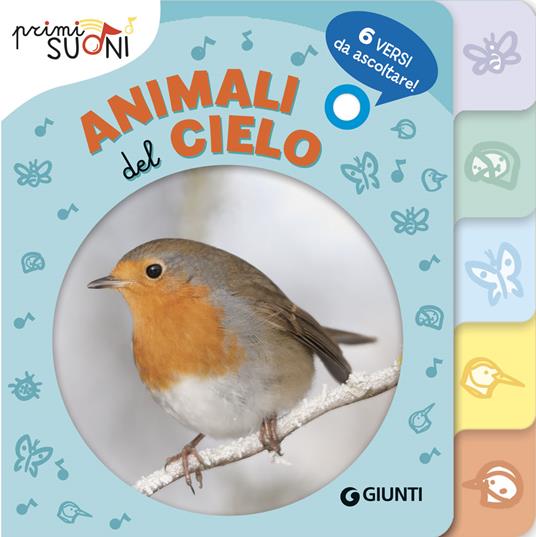Animali del cielo. Primi suoni. Ediz. a colori - Silvia D'Achille - copertina