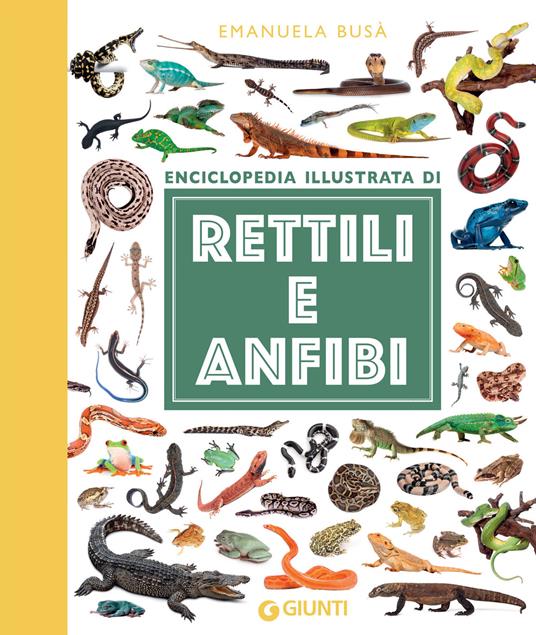 Enciclopedia illustrata di rettili e anfibi. Ediz. illustrata - Emanuela Busà - ebook