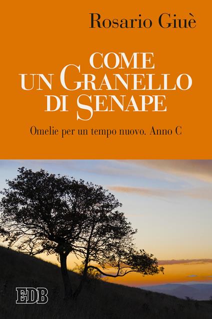 Come un granello di senape. Omelie per un tempo nuovo. Anno C - Rosario Giuè - copertina