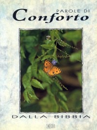 Libreria Vecchi Libri