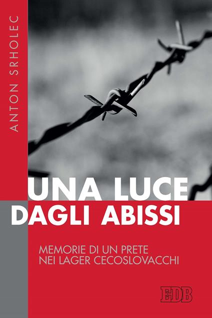 Una luce dagli abissi. Memorie di un prete nei lager cecoslovacchi - Anton Srholec,E. Passerini - ebook