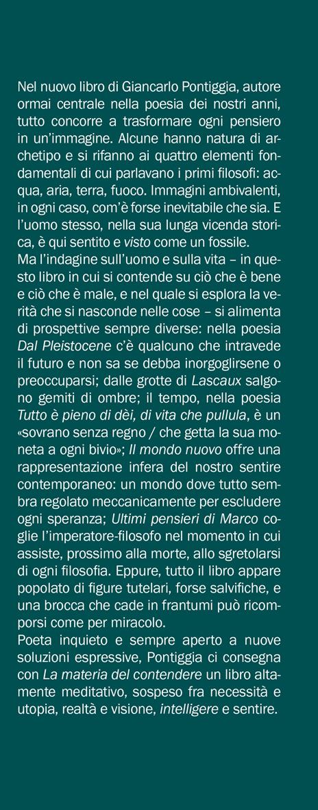 La materia del contendere - Giancarlo Pontiggia - 2
