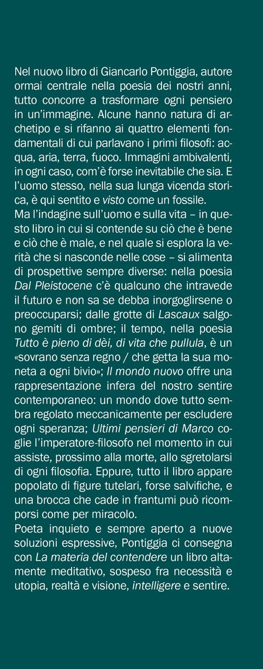 La materia del contendere - Giancarlo Pontiggia - 2