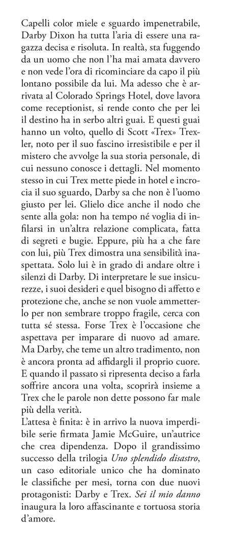 Sei il mio danno - Jamie McGuire - 2