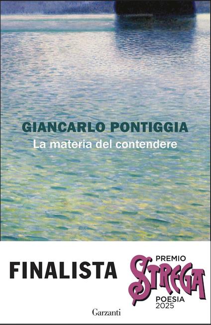 La materia del contendere - Giancarlo Pontiggia - ebook