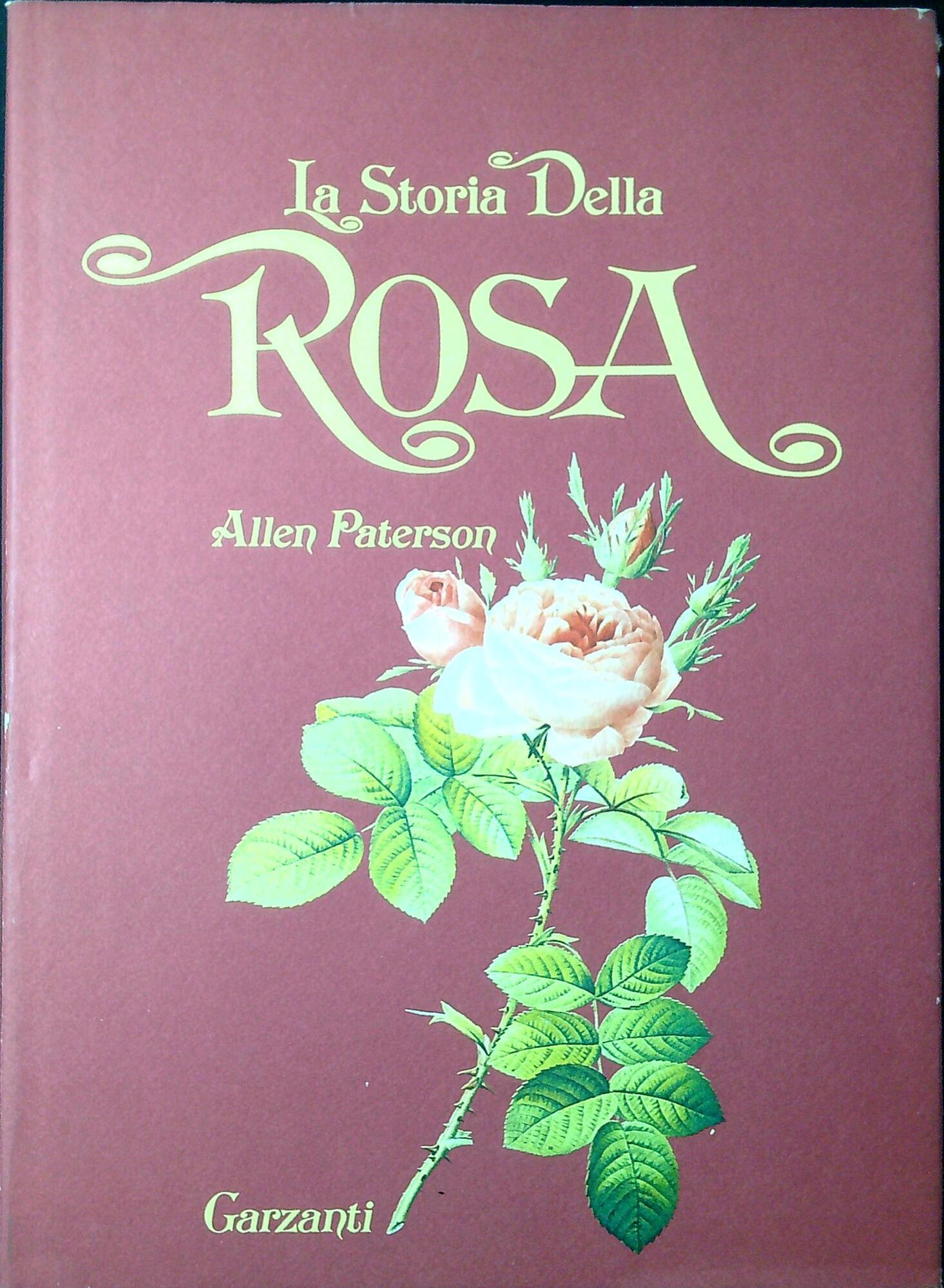 Libreria Serendipity