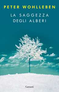 La saggezza degli alberi