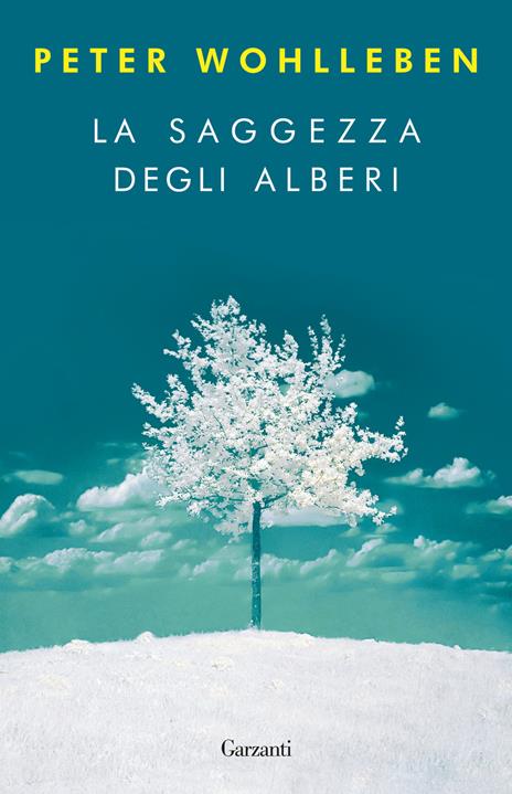 La saggezza degli alberi - Peter Wohlleben - copertina