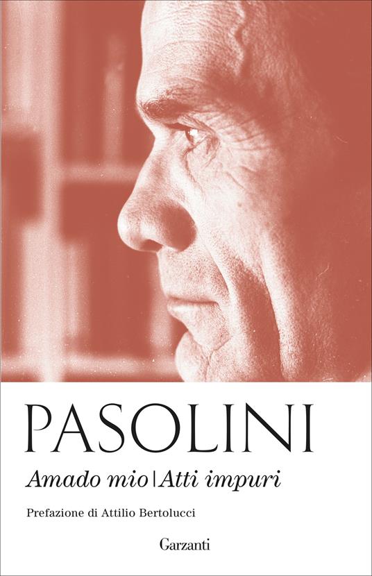 Amado mio-Atti impuri - Pier Paolo Pasolini - copertina