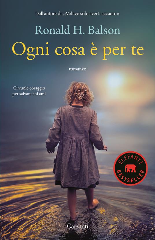 Ogni cosa è per te - Ronald H. Balson - copertina