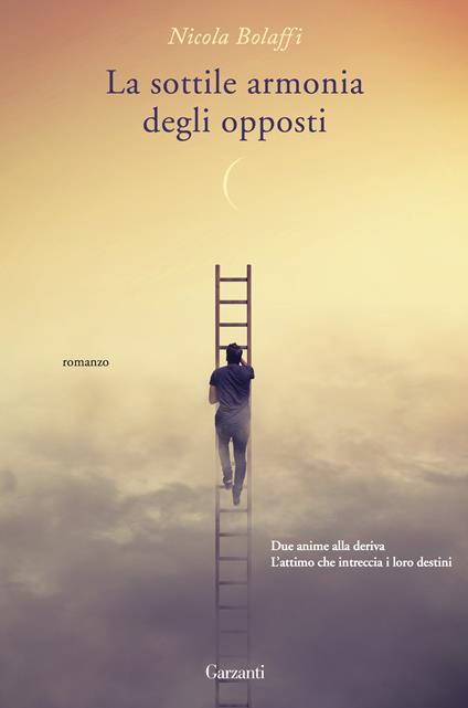 La sottile armonia degli opposti - Nicola Bolaffi - copertina