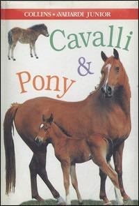 Cavalli e pony - copertina