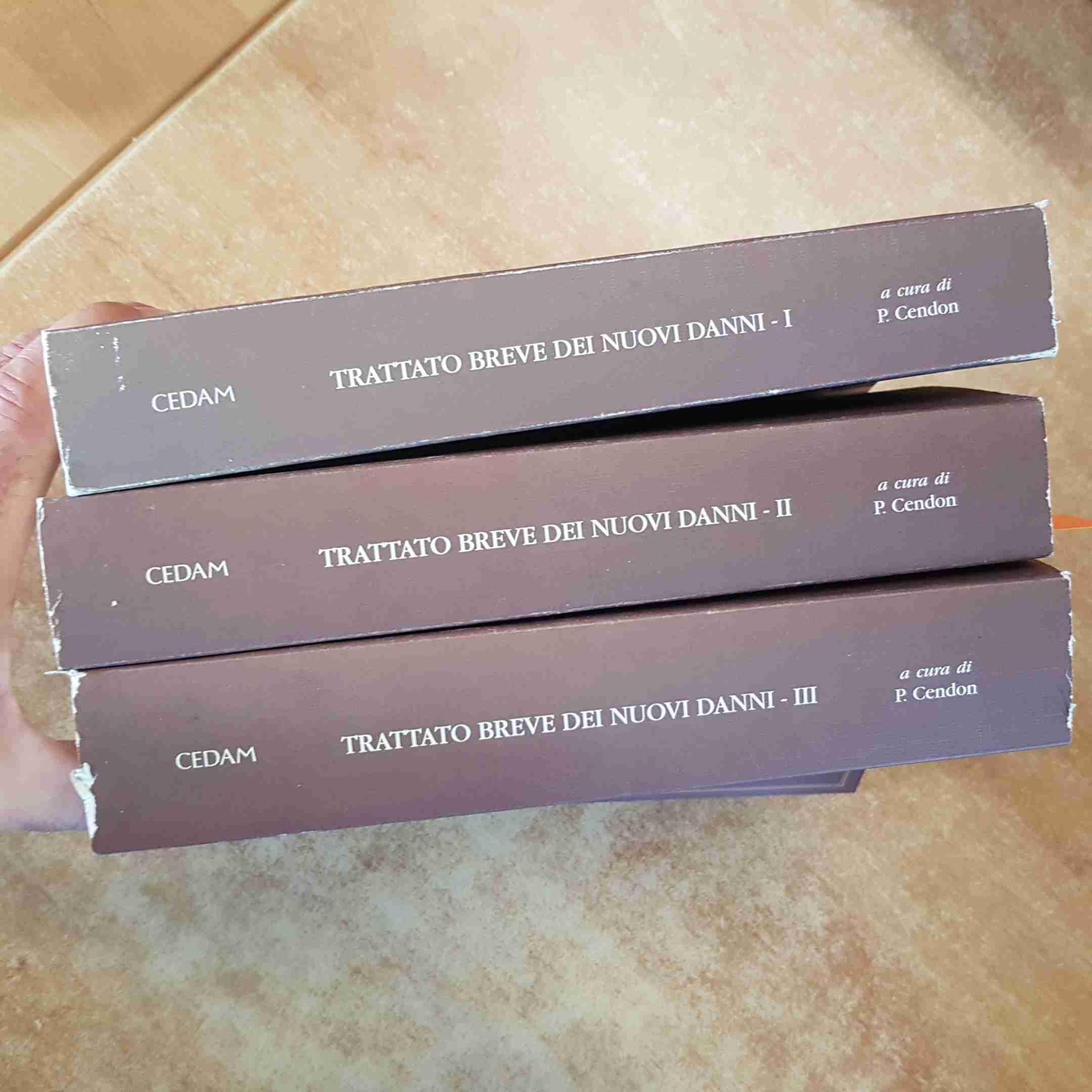 Trattato breve dei nuovi danni. Il risarcimento del danno esistenziale: aspetti civili, penali, medico legali, processuali