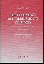 Testi e contesti dell'ordinamento giuridico. Sei studi di teoria generale del diritto. In appendice: nuovi contributi di metodologia e teoria generale del diritto