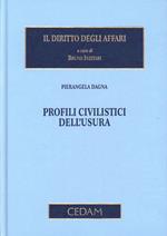 Profili civilistici dell'usura