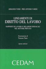 Lineamenti di diritto del lavoro. Rapporti di lavoro e relazioni sindacali nel settore privato