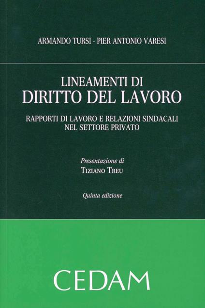 Lineamenti di diritto del lavoro. Rapporti di lavoro e relazioni sindacali nel settore privato - Armando Tursi,Pier Antonio Varesi - copertina