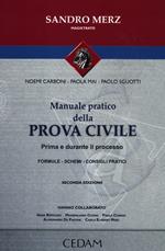 Manuale pratico della prova civile. Prima e durnte il processo