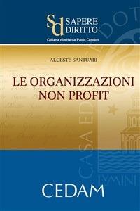 Le organizzazioni non profit - Alceste Santuari - ebook
