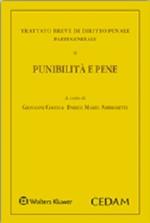 Trattato breve di diritto penale. Parte generale. Vol. 2: Punibilità e pene