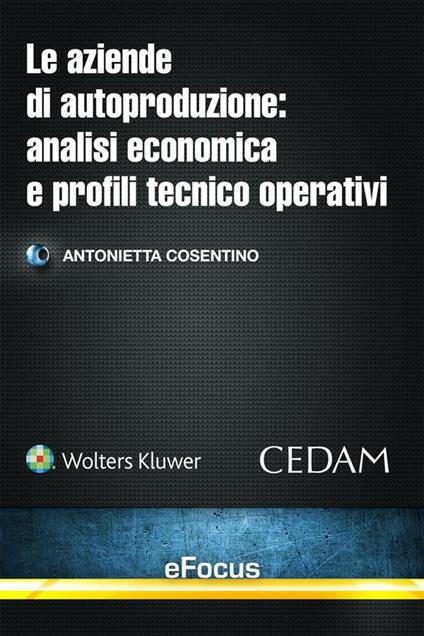 Le aziende di autoproduzione: analisi economica e profili tecnico operativi - Antonietta Cosentino - ebook