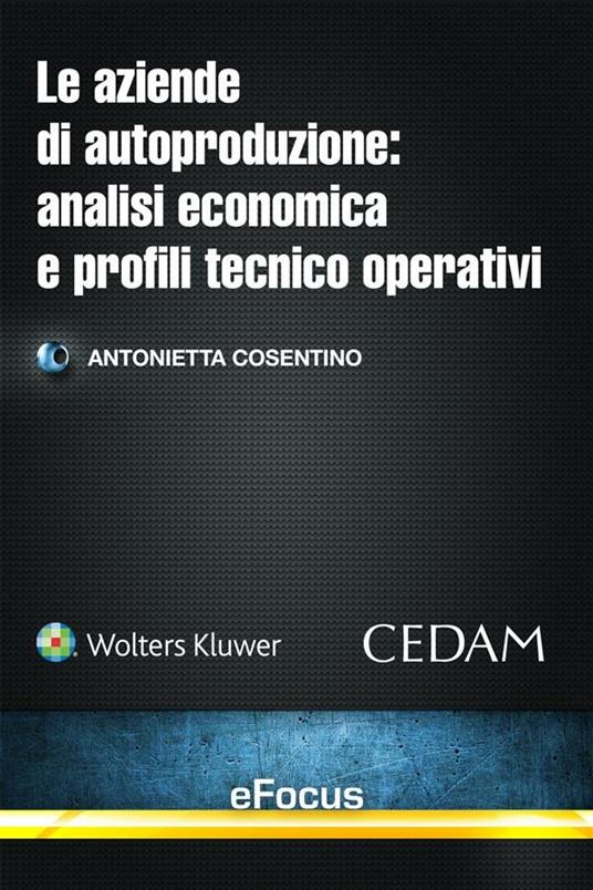 Le aziende di autoproduzione: analisi economica e profili tecnico operativi - Antonietta Cosentino - ebook