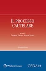 Il processo cautelare