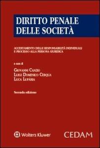 Diritto penale delle società - copertina