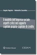 Il modello dell'impresa sociale: aspetti critici nel rapporto capitale proprio-capitale di credito