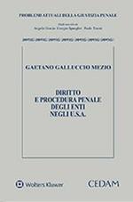 Diritto e procedura penale degli enti negli USA