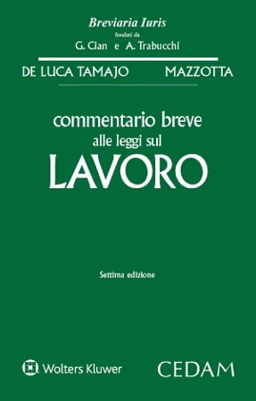 Commentario breve alle leggi sul lavoro - Raffaele De Luca Tamajo,Oronzo Mazzotta - copertina