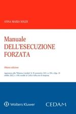 Manuale dell'esecuzione forzata