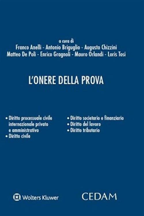 L' onere della prova - Franco Anelli,Antonio Briguglio,Augusto Chizzini,Matteo De Poli - ebook