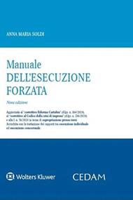 Manuale dell'esecuzione forzata