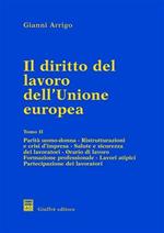 Il diritto del lavoro dell'unione europea. Vol. 2: Parità uomo donna. Ristrutturazioni e crisi d'Impresa. Salute e sicurezza dei lavoratori. Orario di lavoro. Formazione professionale....