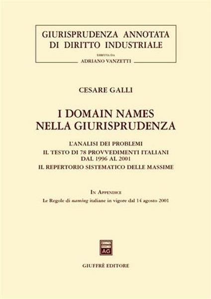 I domain names nella giurisprudenza. L'analisi dei problemi. Il testo di 78 provvedimenti italiani dal 1996 al 2001. Il repertorio sistematico delle massime - Cesare Galli - copertina